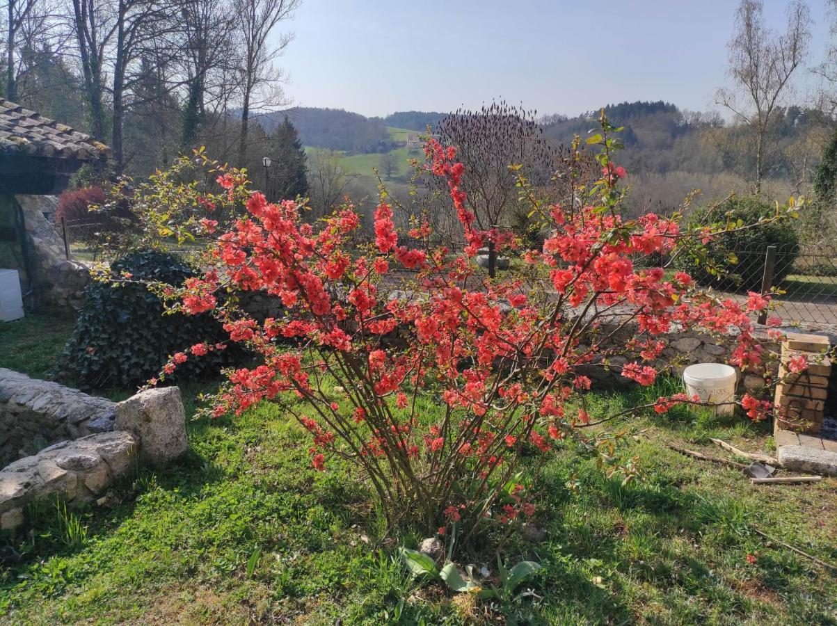 L'Oree Des Bois Courpiere 외부 사진