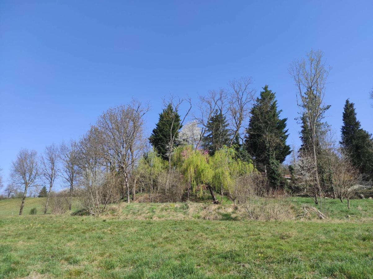 L'Oree Des Bois Courpiere 외부 사진